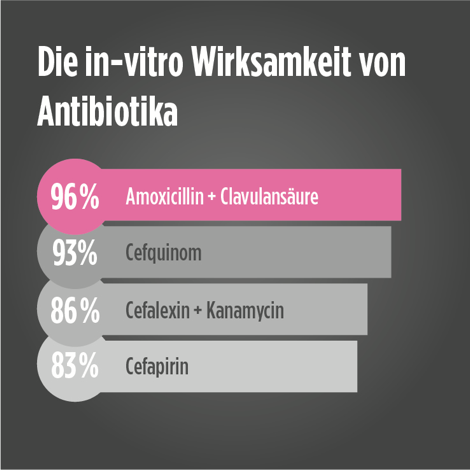 synulox wirksamkeit antibiotika